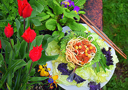 vegan-noodle-with-tomatoes-and-grabanzos-thaiveggiewithb